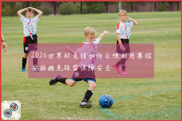 2026世界杯竞猜如何合理利用赛程安排避免踩雷保障安全