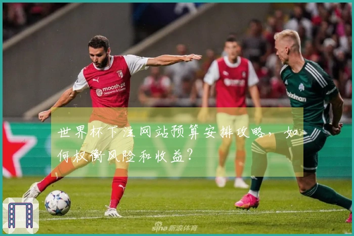 世界杯下注网站预算安排攻略，如何权衡风险和收益？
