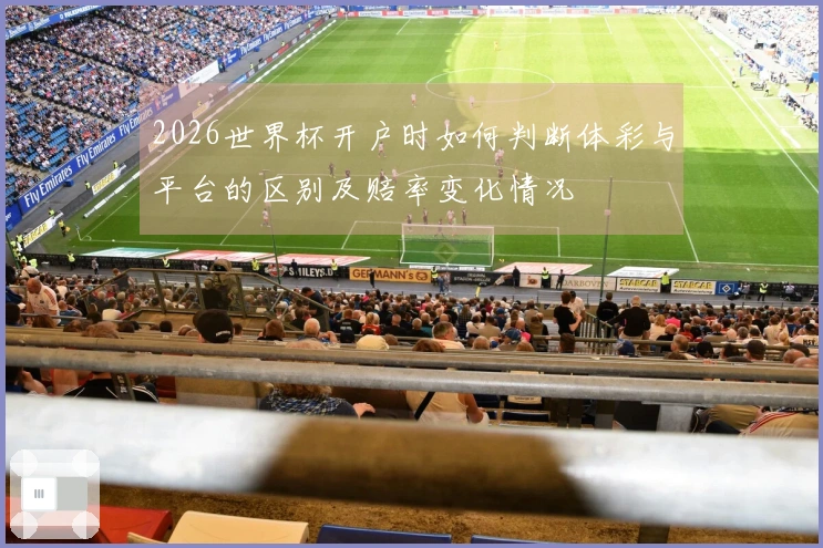 2026世界杯开户时如何判断体彩与平台的区别及赔率变化情况
