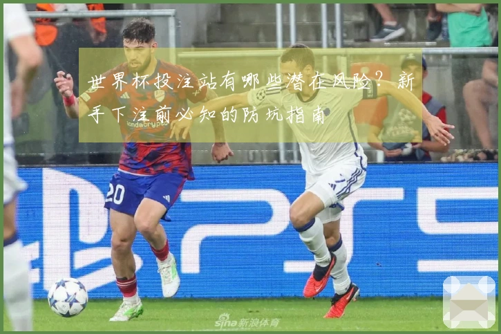 世界杯投注站有哪些潜在风险？新手下注前必知的防坑指南